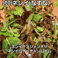 画像412