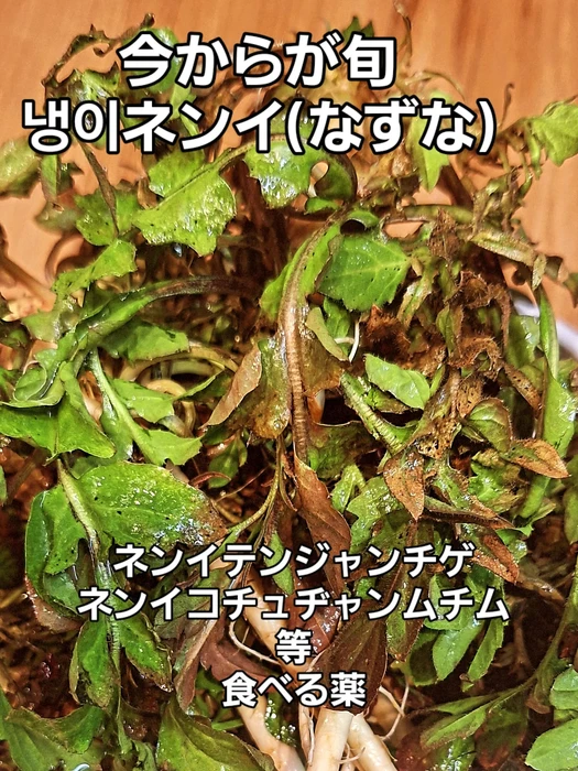 画像412