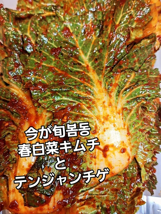 画像433