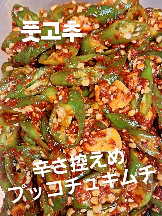 画像435